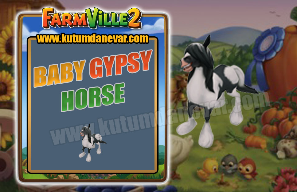 Farmville 2 free baby gypsy horse gifts for the 1st time in 20 September 2020 Sunday Farmville 2 free baby gypsy horse gifts for the 1st time in 20 September 2020 Sunday