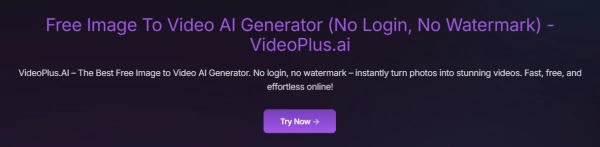 VideoPlus.ai